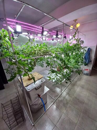 Другие товары для дома и сада: Гидропоника!!!!- это метод автоматезированного выращивания — 28