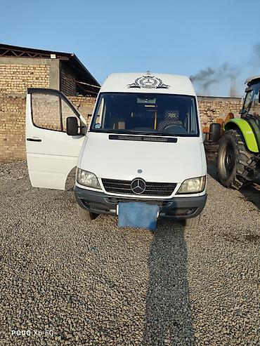 Mercedes-Benz: Mercedes-Benz Спринтер: 2004 г., Бус — 4