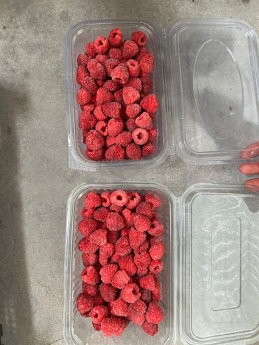 qara gilas murebbesi: Etibarlı dondurulmuş giləmeyvə tədarükçünüz! Biz yüksək keyfiyyətli