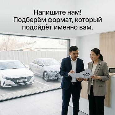 шопена: Инвестиция в бизнес — 6