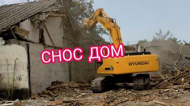 тополь большой: Больше 6 лет опыта