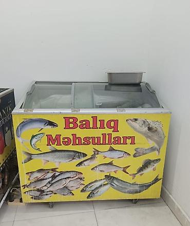 Şüşəli dondurucu