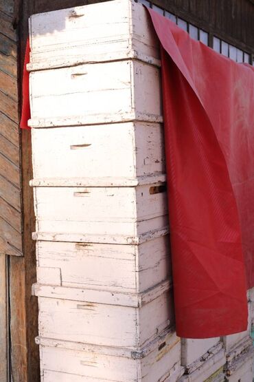 Товары и оборудование для с/х животных: Ульи около 45 комплектов. Рутовская система, корпусные, пригодны для — 1