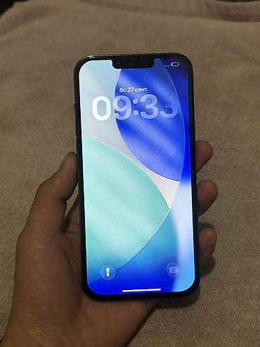 true: IPhone 13 Pro Max, Б/у, 256 ГБ, Blue Titanium, 100 % — 2