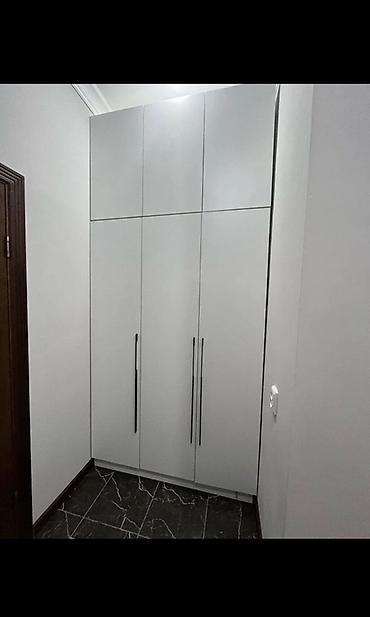 Шифоньеры, шкафы для одежды: Шифоньер, шкаф для одежды, Прямой — 6