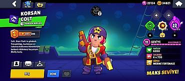 Другое: Brawl Stars oyunu üçün hesab - Kupa: 15 060 (Kupa Yolu I) - Toplanan — 6
