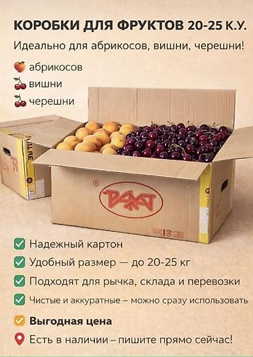 Ящики: Коробки для фруктов 20–25 кг Б/у, как новые - Идеальны для абрикосов — 1