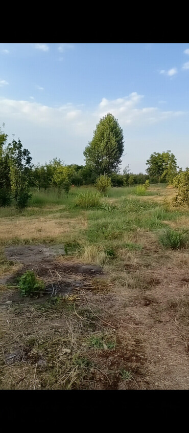 Torpaq sahələrinin satışı: 18 sot, Kənd təsərrüfatı, Mülkiyyətçi, Kupça (Çıxarış), Texniki pasport — 5