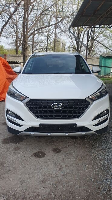 Hyundai: Hyundai Tucson: 2018 г., 1.7 л, Типтроник, Дизель, Кроссовер