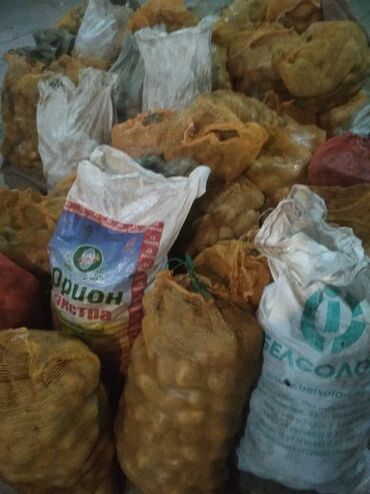 цена картошки в бишкеке: Картошка по оптовой цене 20 сом 1 тонна остался продаю по мешкам