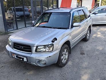 Subaru: Subaru Forester: 2003 г., 2 л, Автомат, Бензин, Кроссовер — 2