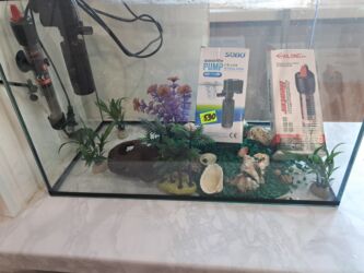 рыба на подушке в духовке: Продается аквариум 40 л со всем необходимым (фильтром, терморегулятор