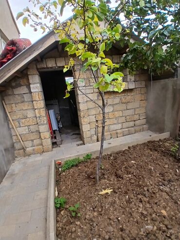 Uzunmüddətli kirayə evlər: 80 kv. m, 3 otaqlı, Qaz, İşıq, Su -da lalafo.az — 14 Uzunmüddətli kirayə evlər: 80 kv. m, 3 otaqlı, Qaz, İşıq, Su — 14