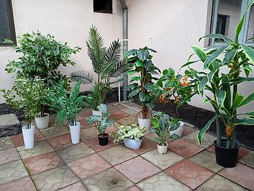 Декоративные цветы: Декоративные искусственные растения в кашпо 
горшки в комплекте — 1