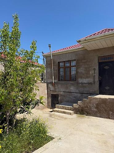 ardıc ağacı: 3 otaqlı, 90 kv. m, Orta təmir — 1