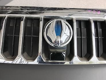 ssang: Решётка радиатора для автомобиля SsangYong (эмблема с синим фоном). - — 2