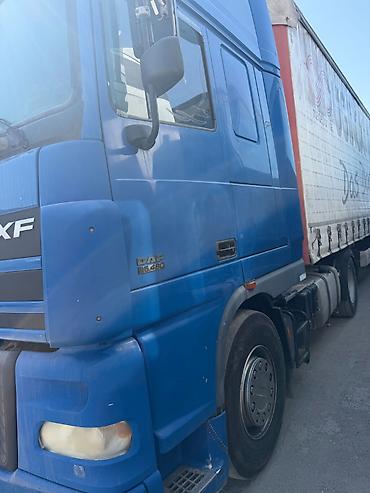 mcv 21: Daf 95 480 механика ритарда год 2006 Цена за голову 21 тыс $ без — 2