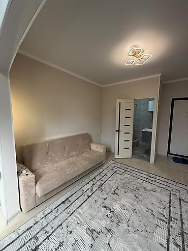 Продажа квартир: 1 комната, 20 м², Шлагбаум Индивидуалка, 1 этаж, Евроремонт — 6