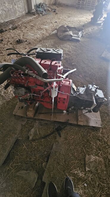 Двигатели, моторы и ГБЦ: Продам двигателя семейства двигатель Cummins 4bt, 6bt, 6ct, 6L, d6ac — 14