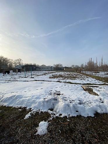 Продажа коттеджей и домов: Продаю дом. Аламидин район село гроздный. Мектеп, садик. рядом — 6