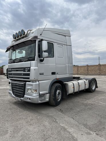 Тягачи: Тягач, DAF, 2008 г. — 5