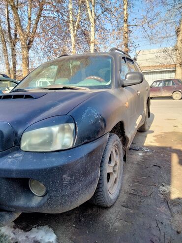 мерседес 124 черный: Hyundai Santa Fe: 2001 г., 2 л, Автомат, Дизель, Внедорожник