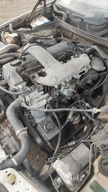 Mercedes-Benz: Mercedes-Benz W124: 1989 г., 2.9 л, Механика, Дизель, Универсал — 11