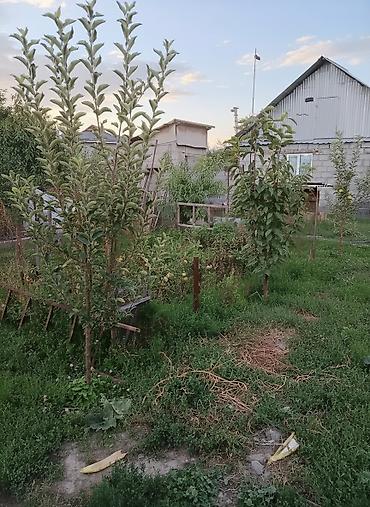 Продажа коттеджей и домов: 💎💎💎 Продаётся уютный Дом 🏘44кв.м 3 ком 💎💎💎 🏡Дачный посёлок Тепловик в — 1