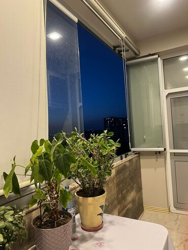 Qonaq otağı dəstləri: İşlənmiş — 31