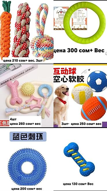 Зоотовары: Одежда, переноски и игрушки для домашних животных Ассортимент: - — 4