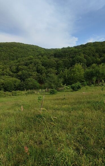 Torpaq sahələrinin satışı: 13 sot, Tikinti, Mülkiyyətçi, Kupça (Çıxarış) — 6