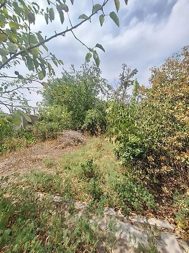 Продажа дач: Срочно продаётся 2-х комн. дачный дом с земельным участком 5 соток в — 8