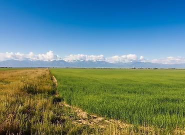 Продажа участков: 900 соток, Для сельского хозяйства, Красная книга — 2