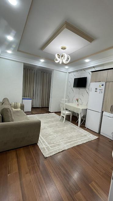 Долгосрочная аренда квартир: Студия, С мебелью полностью — 1