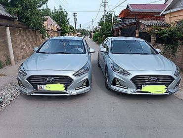 Аренда авто на сутки