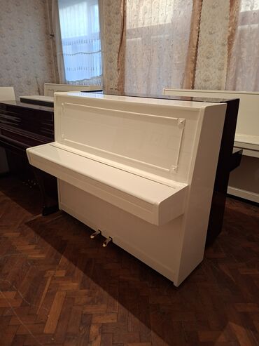 elektro akustik gitara: Piano, Belarus, Akustik, Yeni, Pulsuz çatdırılma