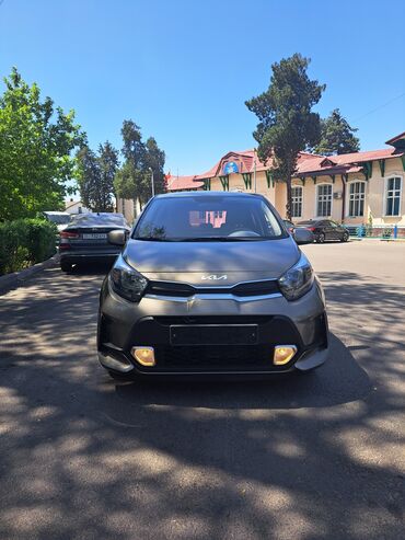 киа: Kia Picanto: 2020 г., 1 л, Автомат, Бензин, Хэтчбэк