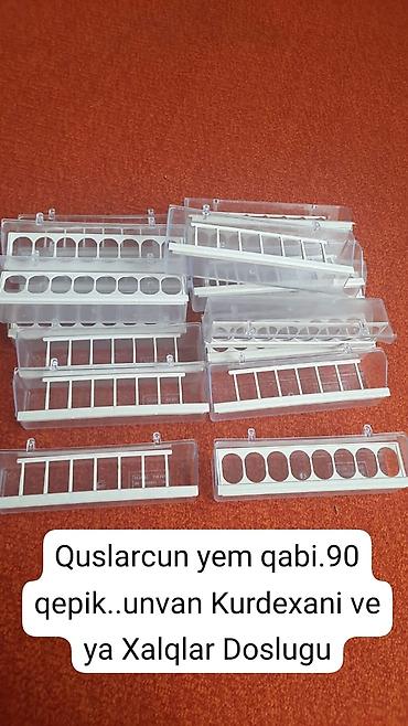 Quşlar: Zeng edin ve ya wapsapla elaqe saxlayin — 6