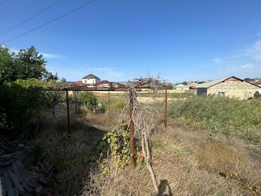 участок кызыл кия: 4 sot, Kənd təsərrüfatı, Barter mümkündür, Kupça (Çıxarış)