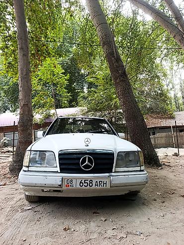 mcv 21: Mercedes-Benz W124: 1995 г., 3 л, Механика, Дизель, Универсал — 4