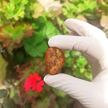 şəffaf klyonka: Kolleksiyamdakı Parlaq Təbii Daşların Satışı | Mineral • Kristal • — 9
