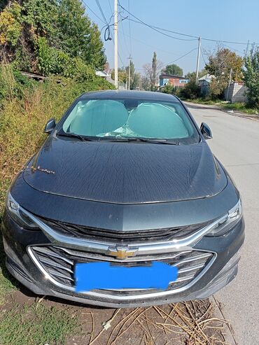 шторы на хово: Chevrolet Malibu: 2019 г., 1.3 л, Автомат, Бензин, Седан