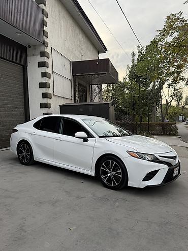 Toyota: Toyota Camry: 2019 г., 2.5 л, Автомат, Бензин, Седан — 11