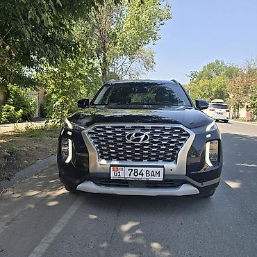 terrain: Hyundai Palisade: 2020 г., Кроссовер — 7