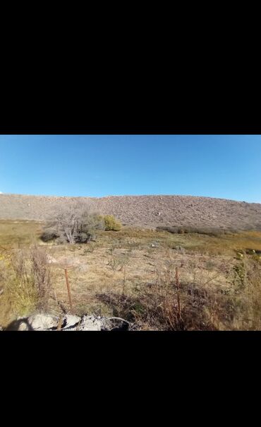 Другие товары для дома и сада: Продается действующий бизнес кашар вместе с садом для разведения скота — 7