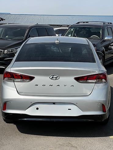 sonata dn: Hyundai Sonata: 2019 г., 2 л, Автомат, Бензин, Седан — 1