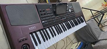korg 800: Korg. pa1000 az isleyib ciddi sexsler narhat edsin karopkasda var — 3