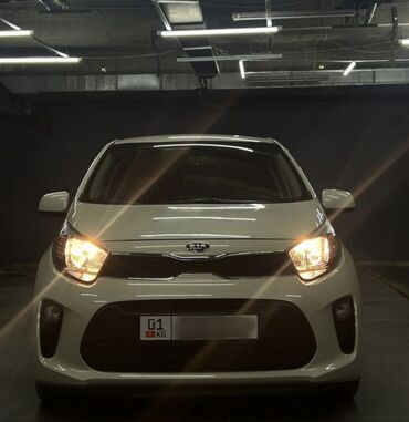 моторное масло kixx бишкек цена: Kia Morning: 2019 г., 1 л, Автомат, Бензин, Хетчбек