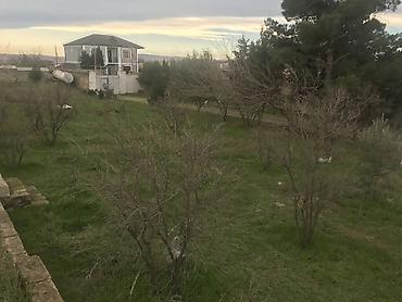 kiraye evlerin kreditle satisi: Xüsusi mülkiyyət, su, işıq, qaz, internet xətləri mövcüddur. Hamısı — 7