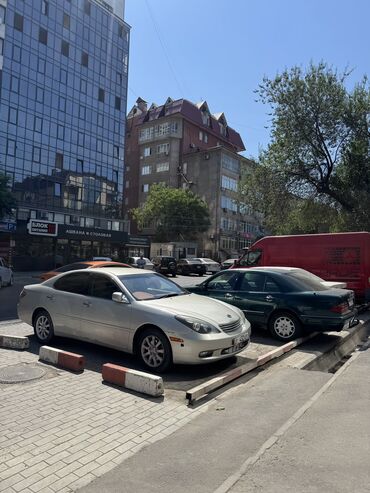амортизаторы на тайота виндом 30: Toyota Windom: 2002 г., 3 л, Автомат, Бензин, Седан
